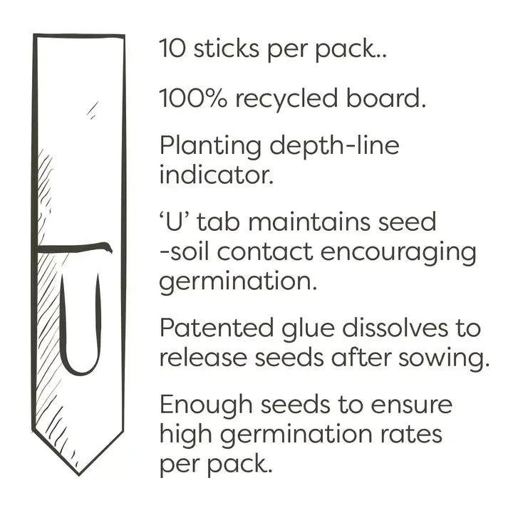 Christmas Seed Cards | Eco-Friendly Christmas Cards with Seeds