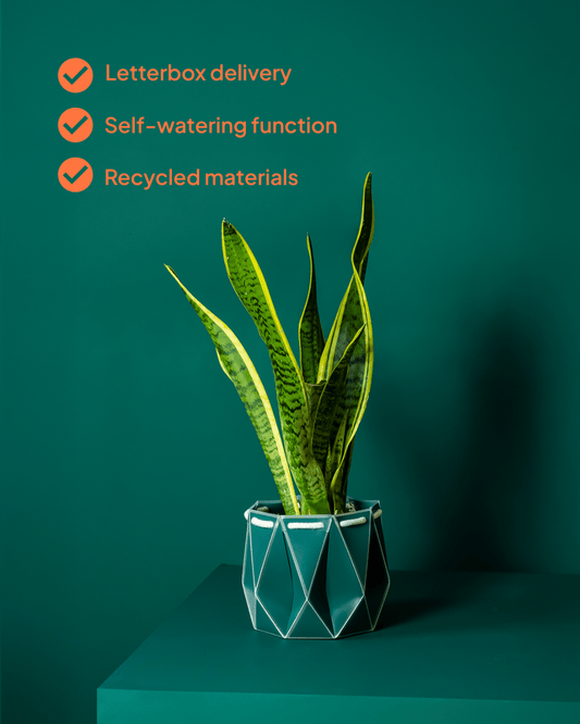 18cm Self-Watering Indoor Plant Pot in Dark Teal | Best Seller - Ivy and Sol
