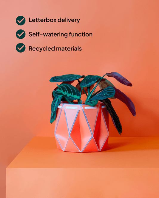 15cm Self-Watering Indoor Plant Pot | Coral | Best Seller - Ivy and Sol