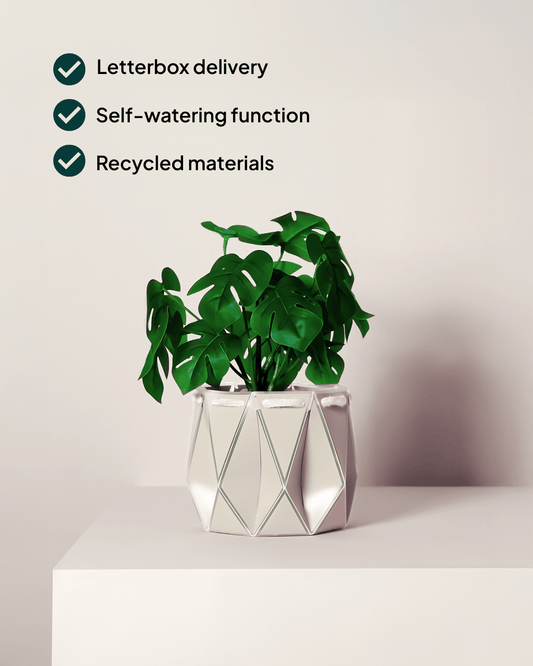 15cm Self-Watering Indoor Plant Pot | Ivory - Ivy and Sol