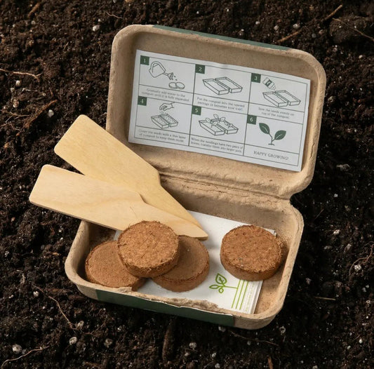 Gardener's Essentials – Cottage Garden Seed Kit - Ivy and Sol