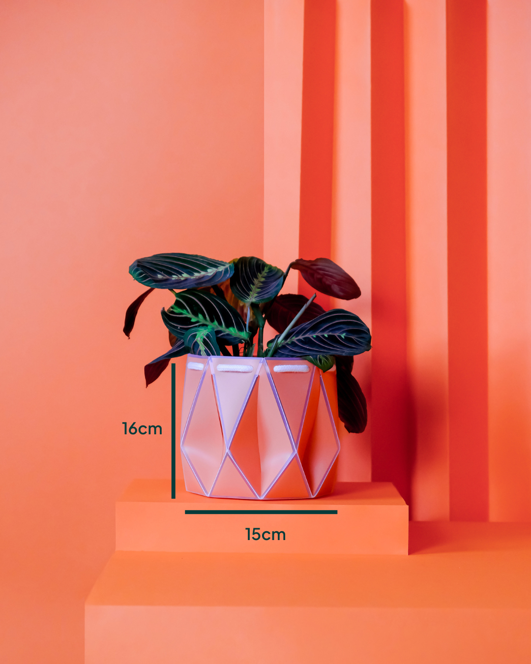 15cm Self-Watering Indoor Plant Pot | Coral | Best Seller