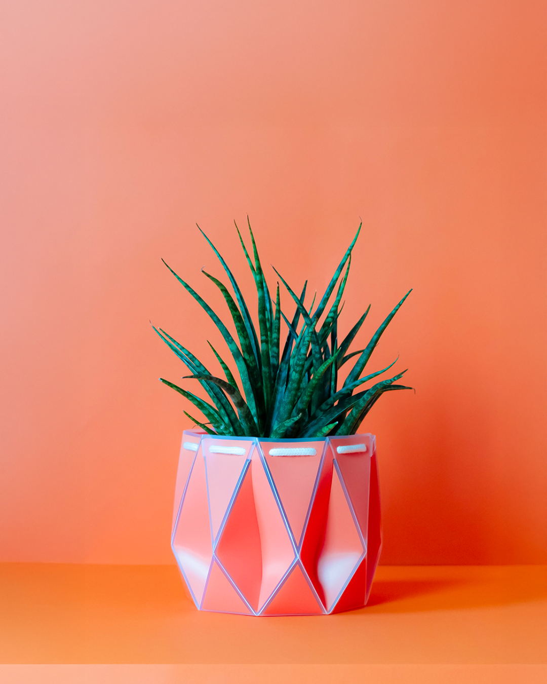 18cm Self-Watering Indoor Plant Pot | Coral