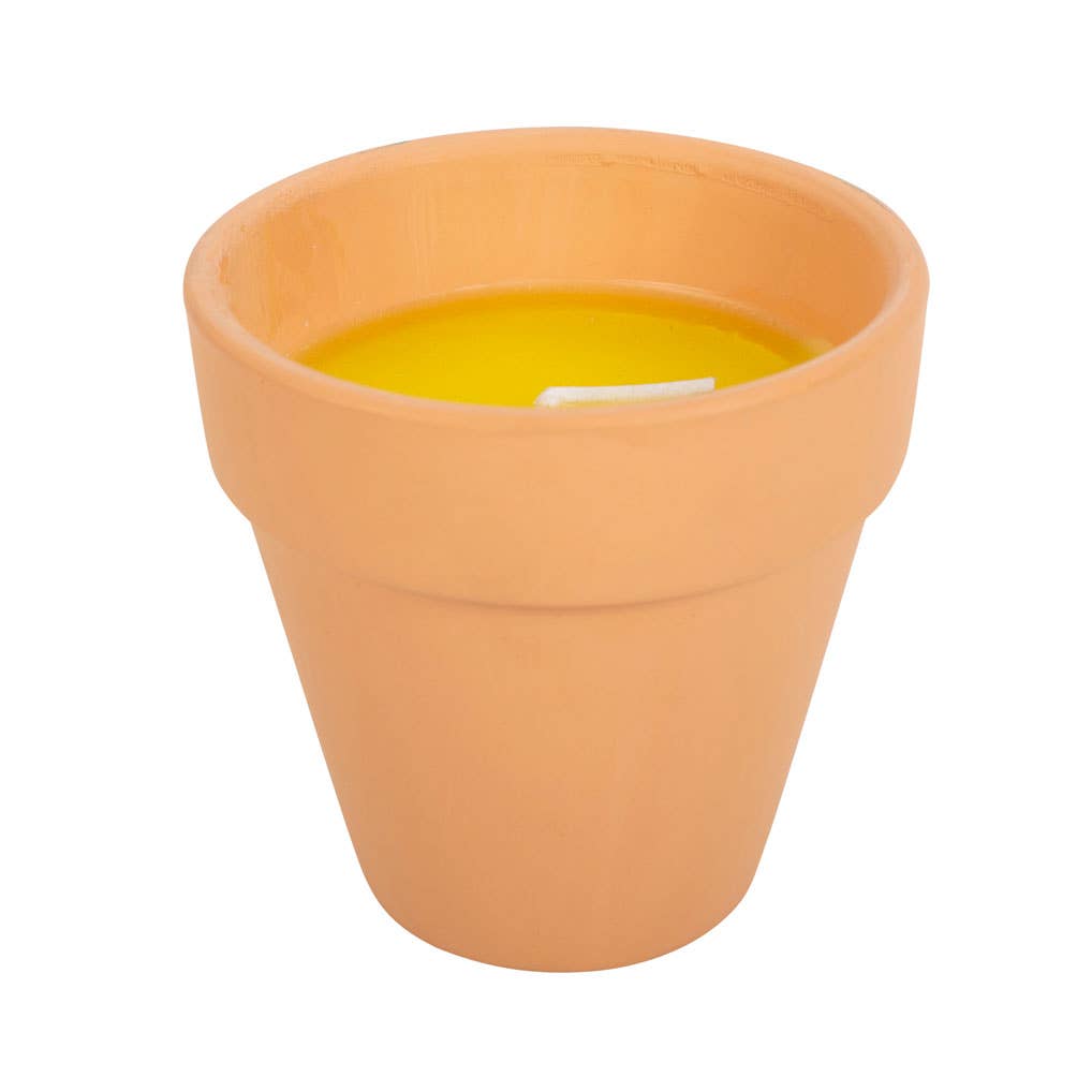 Gardener of the Year Citronella Candle | Ceramic Plant Pot Garden Candle