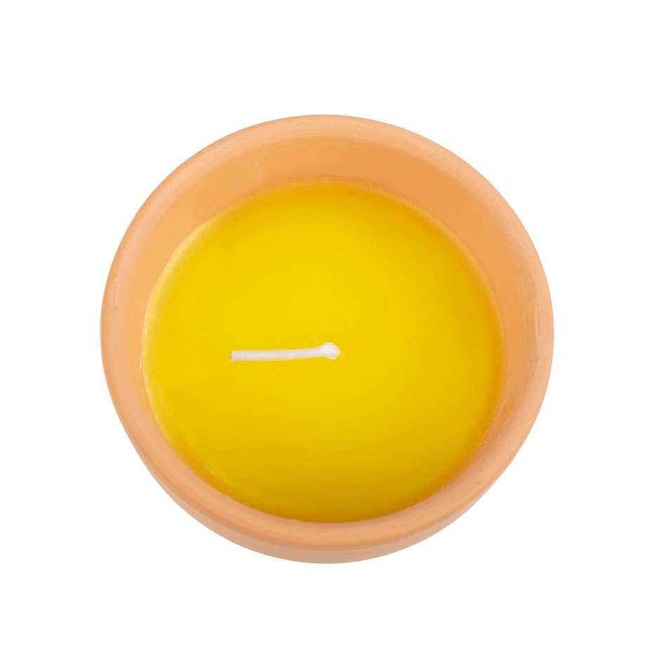 Gardener of the Year Citronella Candle | Ceramic Plant Pot Garden Candle
