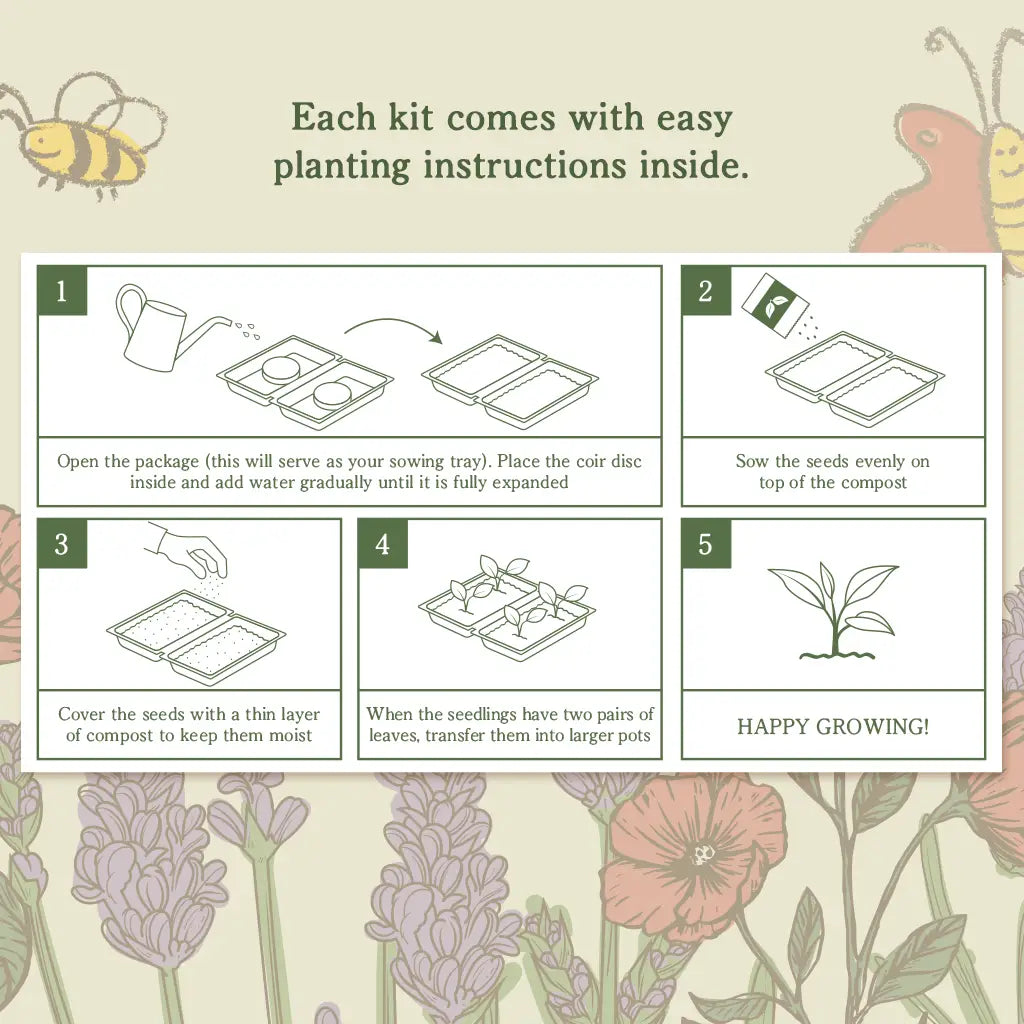 Gardener's Essentials – Vegetable Garden Seed Kit