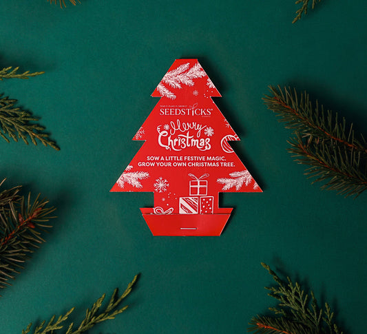 Grow Your Own Christmas Tree Seedsticks® | Norway Spruce Growing Kit - Ivy and Sol
