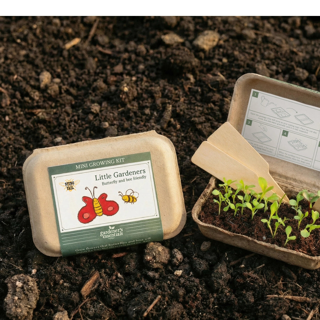 Mini growing kit with seedlings on a soil background