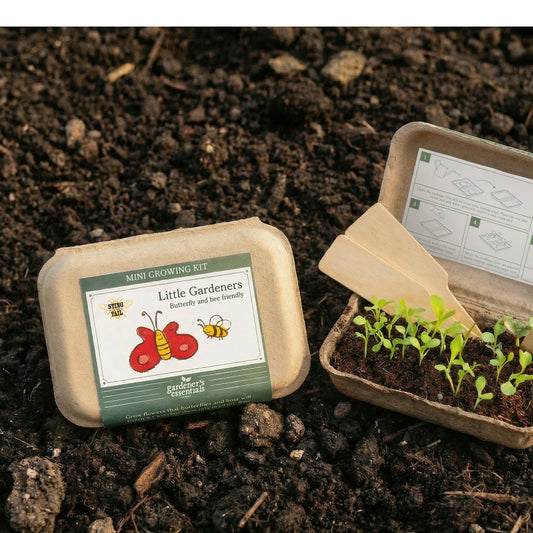 Mini growing kit with seedlings on a soil background