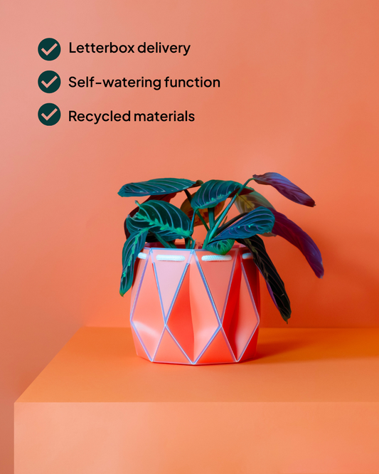 15cm Self-Watering Indoor Plant Pot | Coral | Best Seller