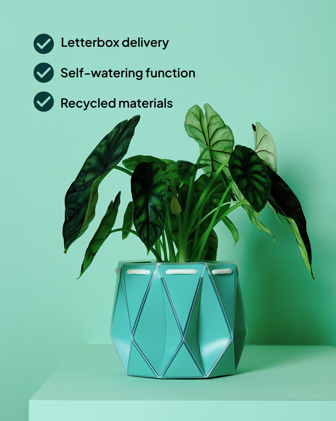 18cm Self-Watering Indoor Plant Pot | Aqua