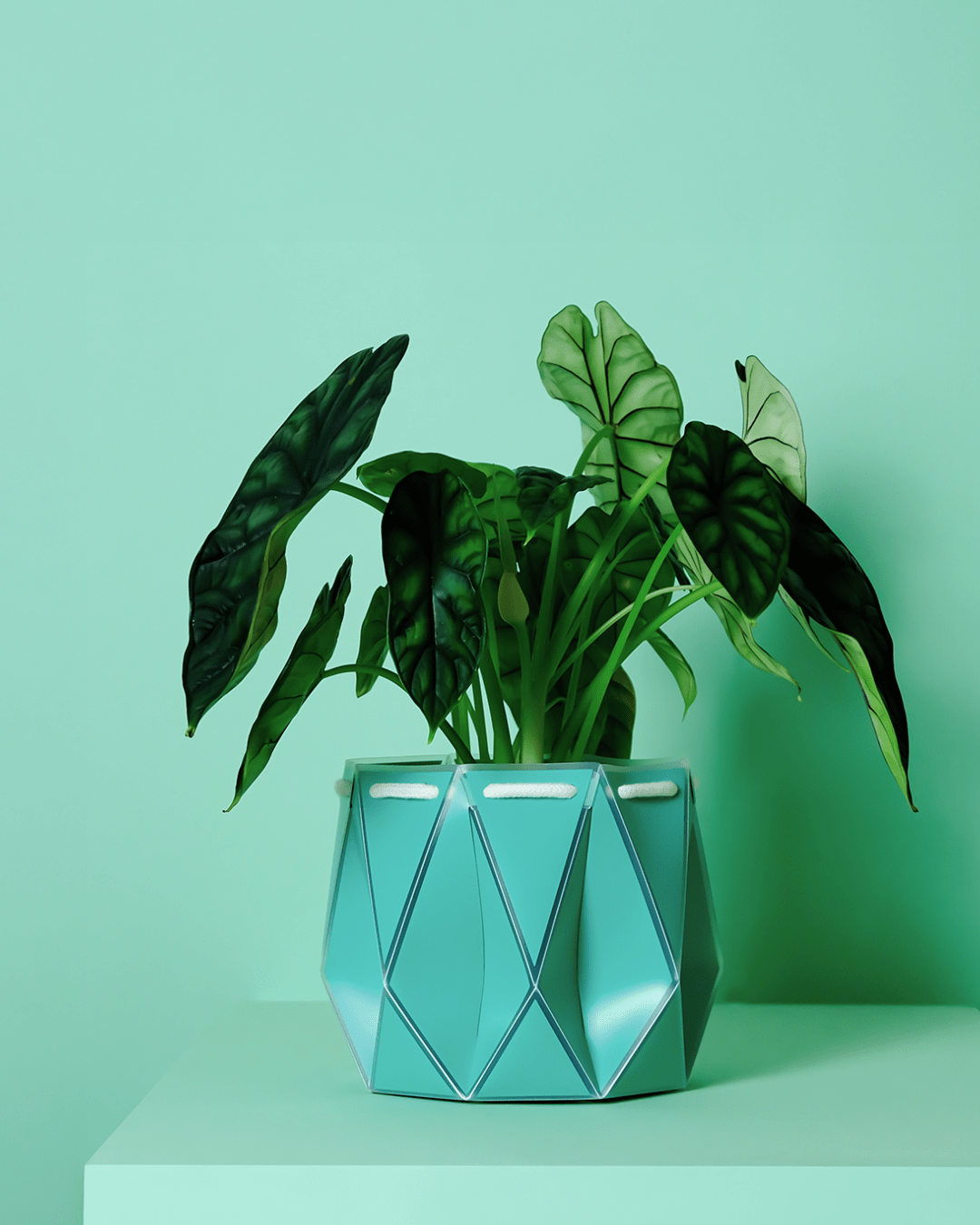18cm Self-Watering Indoor Plant Pot | Aqua - Ivy and Sol