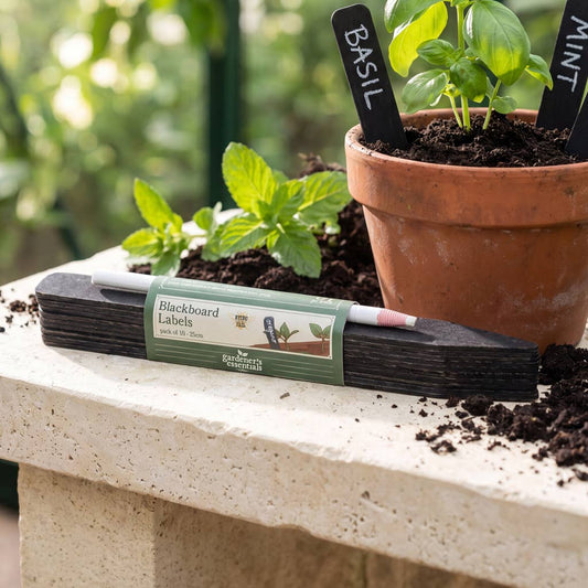 Gardener's Essentials Blackboard Plant Labels & Chinagraph Pencil | Set of 10 - Ivy and Sol