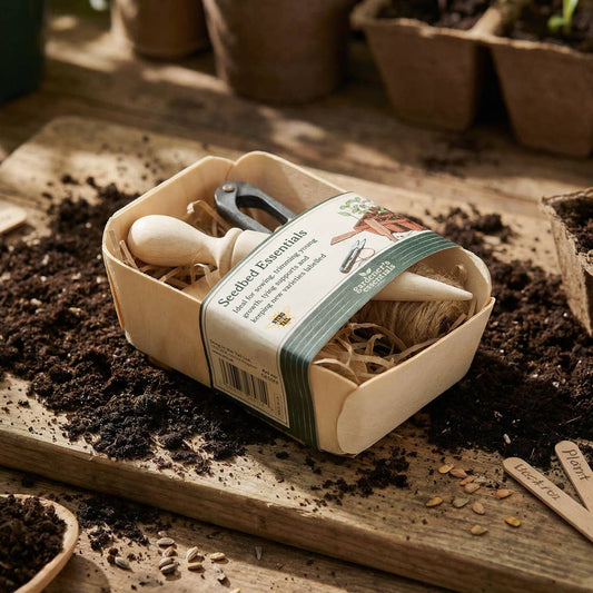 Gardener's Essentials Seedbed Kit | Gardening Gift Set - Ivy and Sol