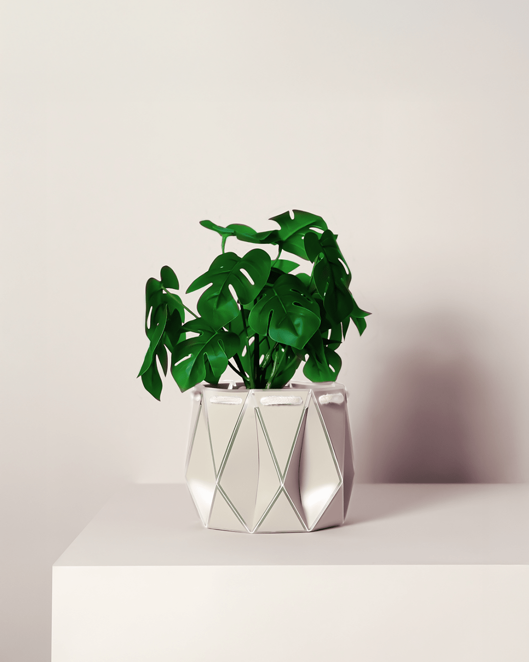 15cm Self-Watering Indoor Plant Pot | Ivory - Ivy and Sol