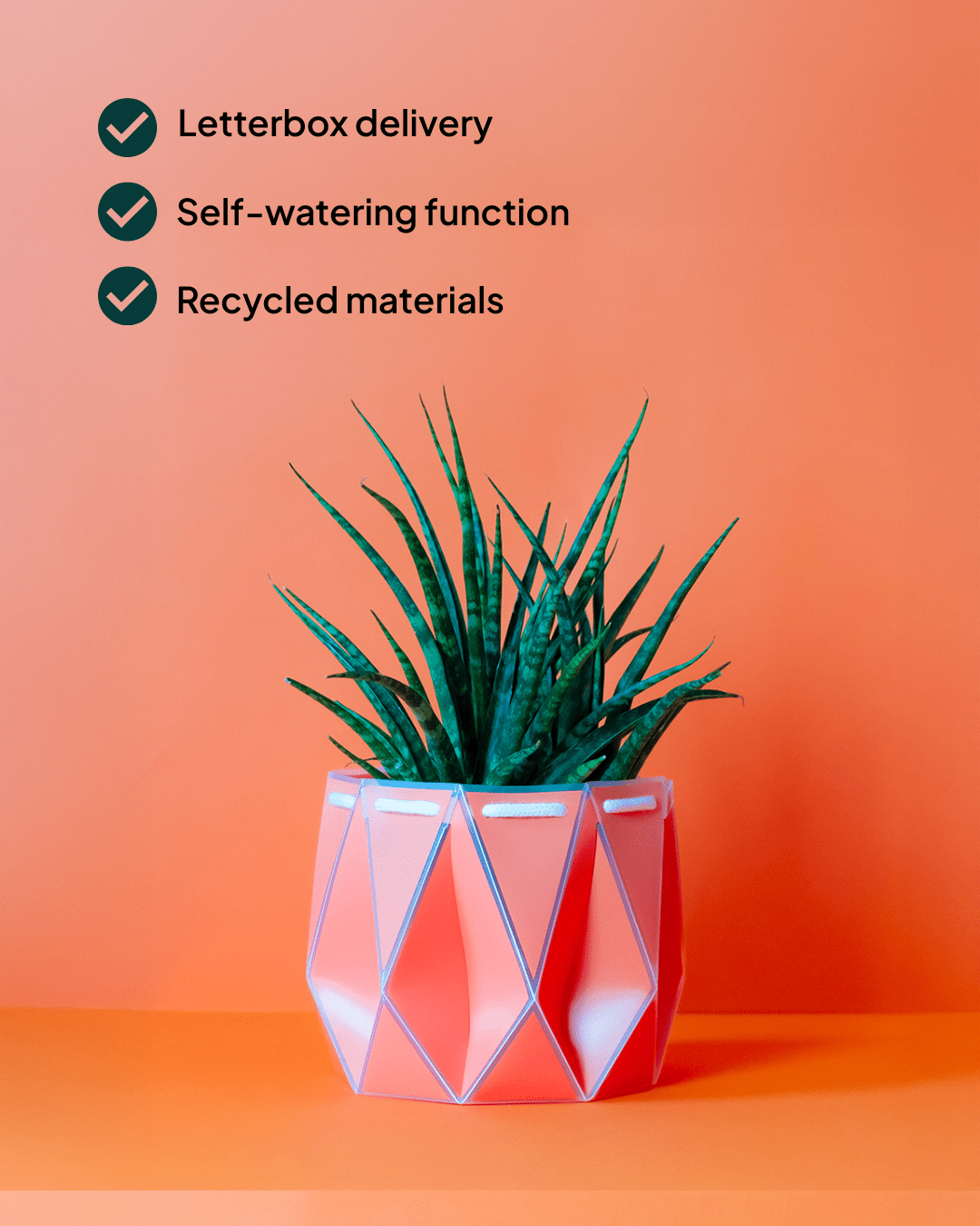 18cm Self-Watering Indoor Plant Pot | Coral - Ivy and Sol