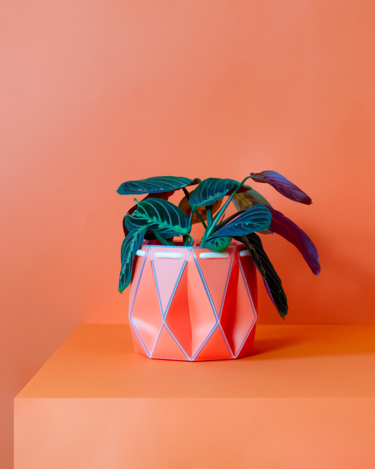 15cm Self-Watering Indoor Plant Pot | Coral | Best Seller