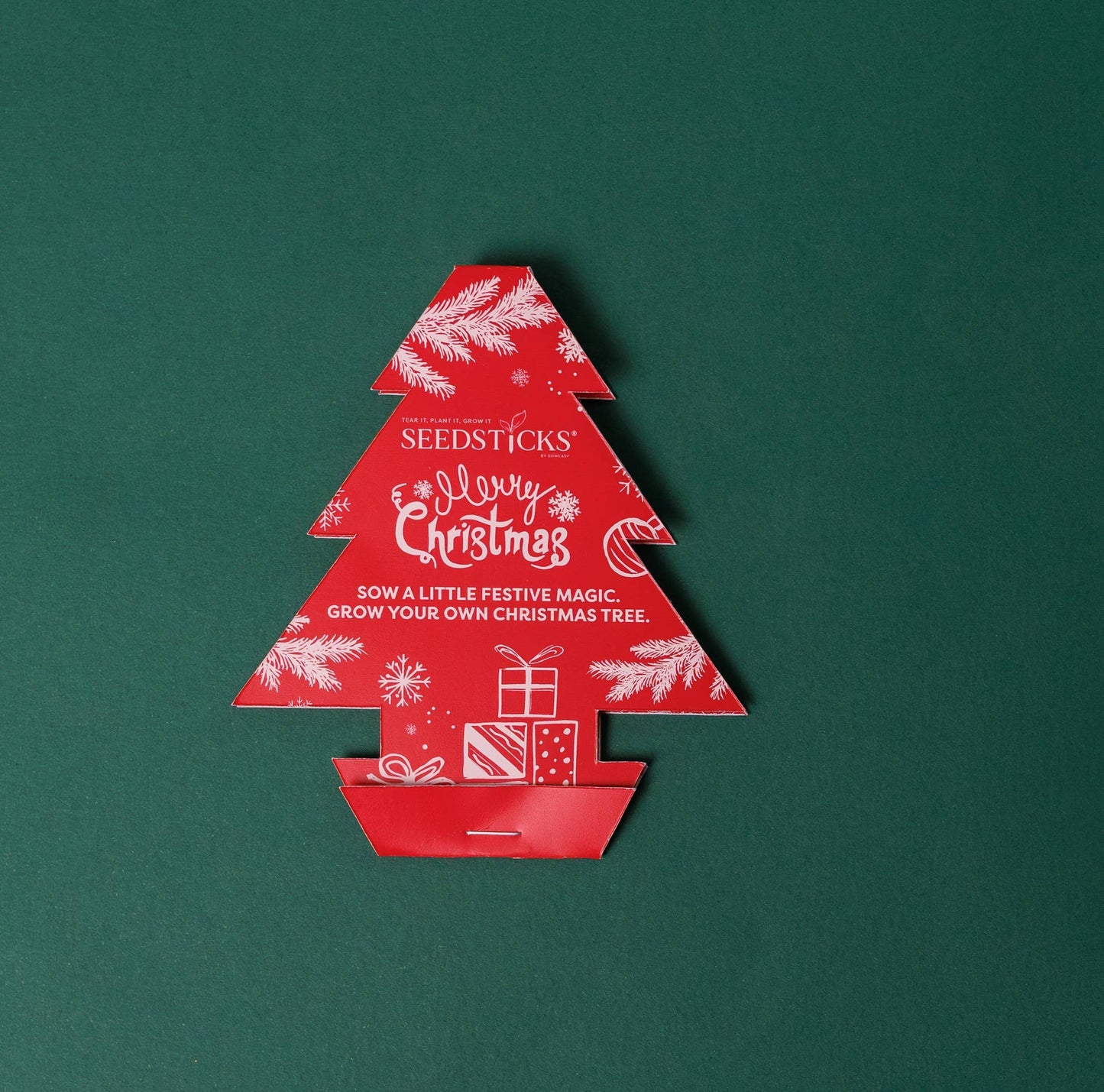 Grow Your Own Christmas Tree Seedsticks® | Norway Spruce Growing Kit