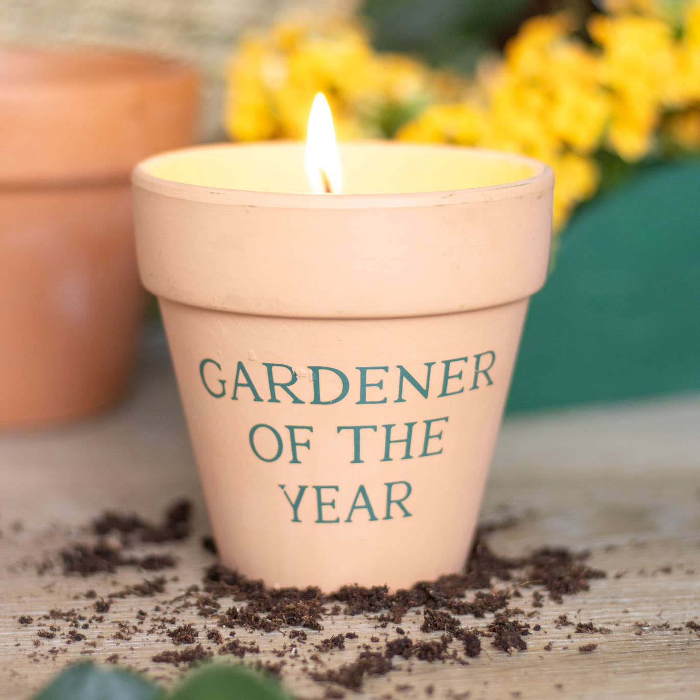 Candle in a pot labeled 'Gardener of the Year' with soil around it.