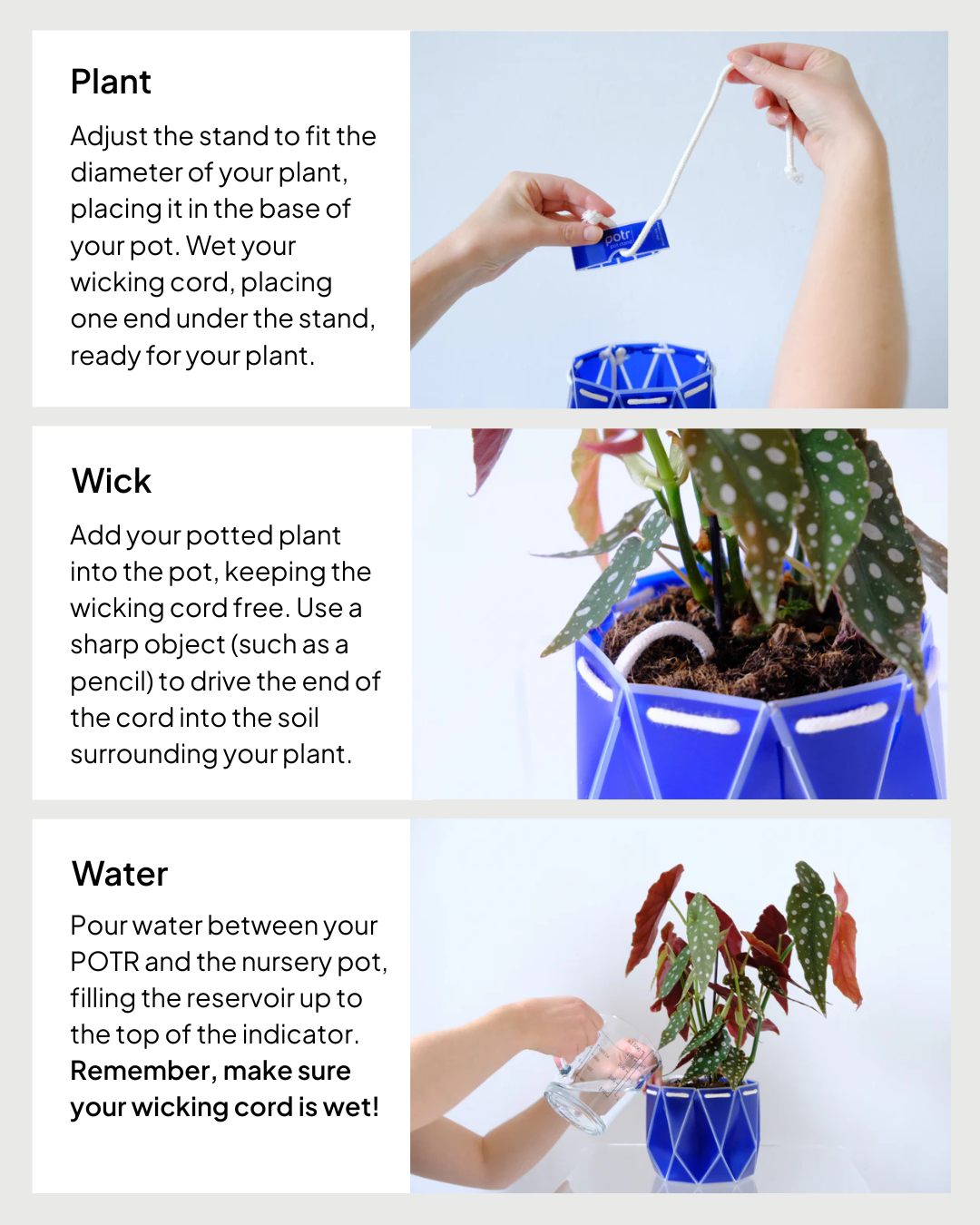 15cm Self-Watering Indoor Plant Pot | Coral | Best Seller
