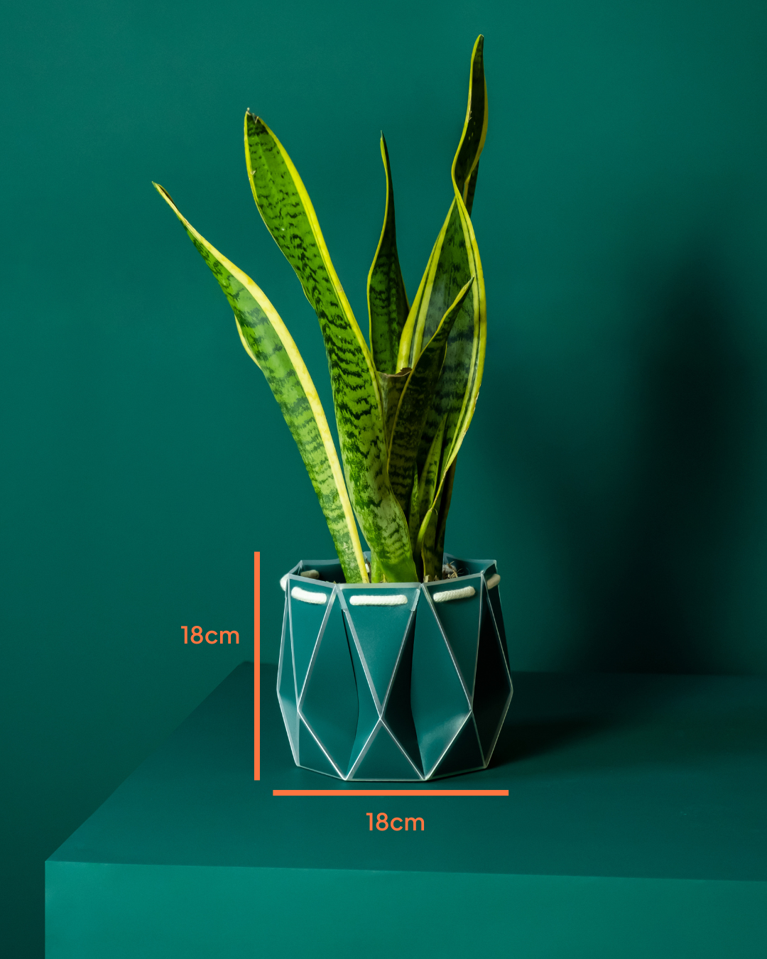 18cm Self-Watering Indoor Plant Pot in Dark Teal | Best Seller