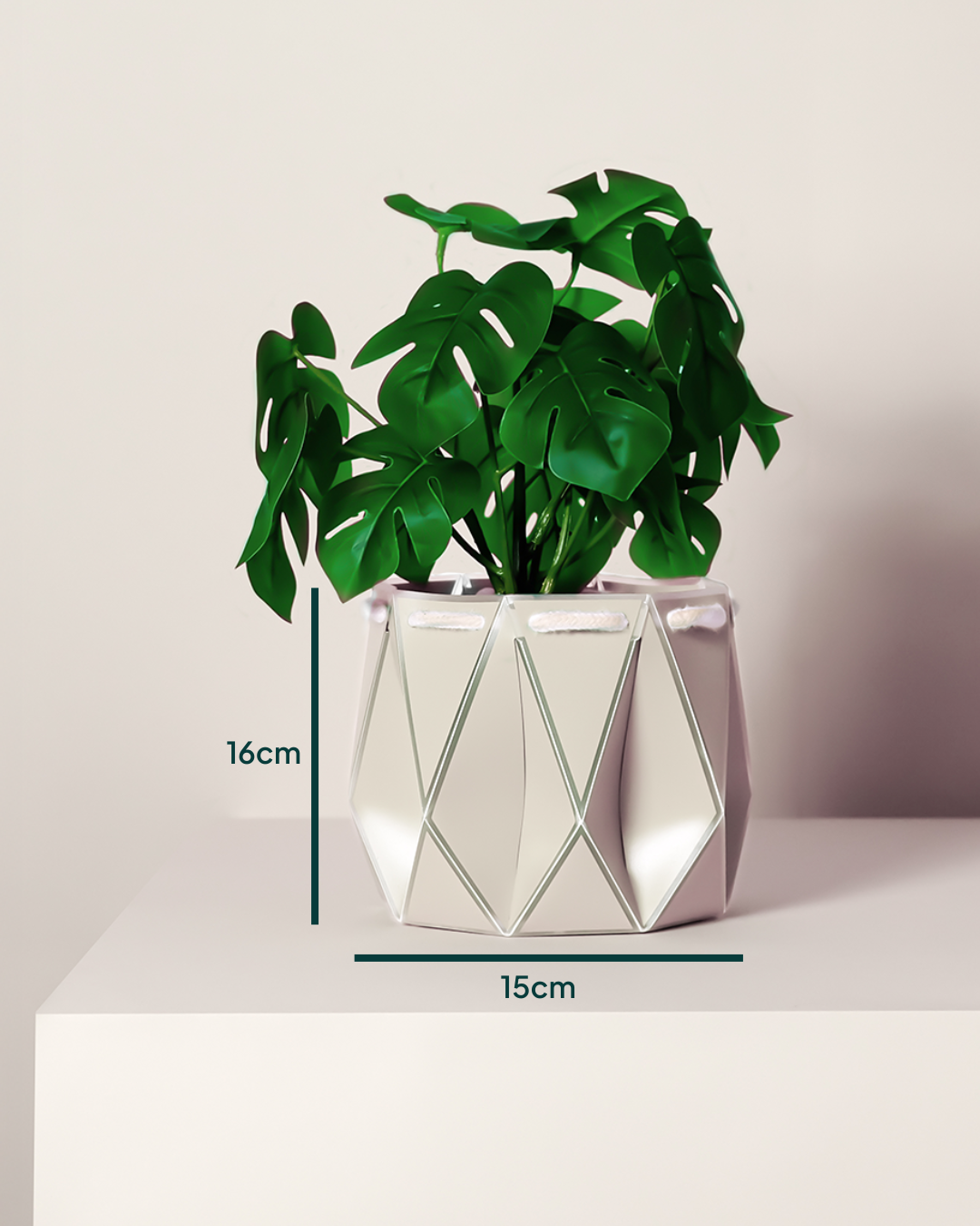 15cm Self-Watering Indoor Plant Pot | Ivory