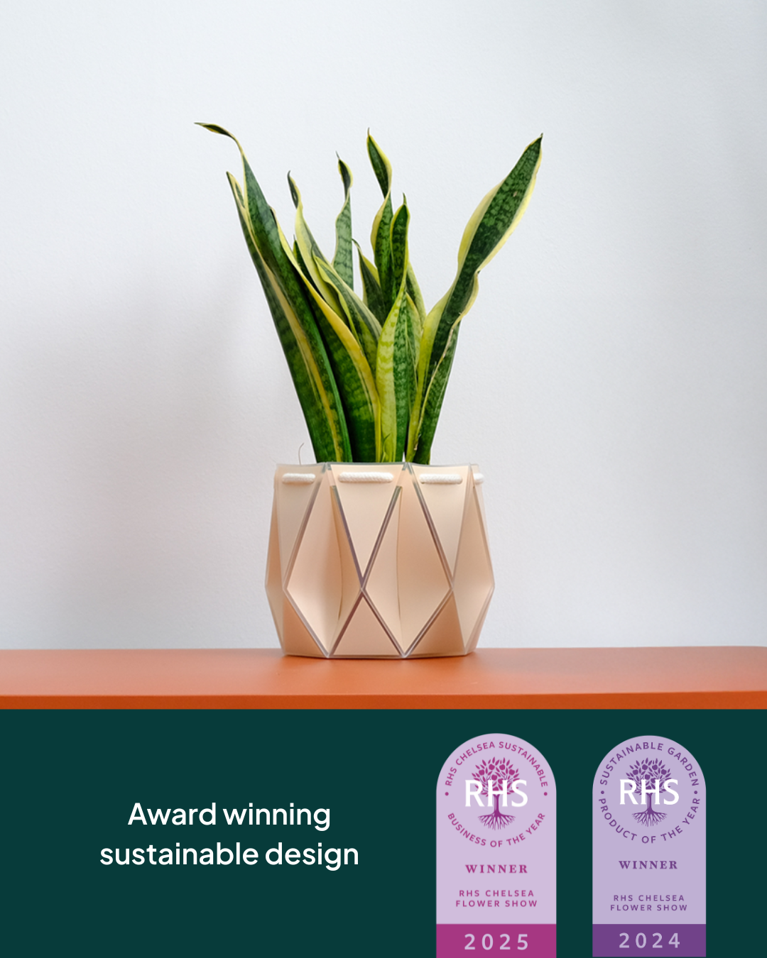 15cm Self-Watering Indoor Plant Pot | Ivory
