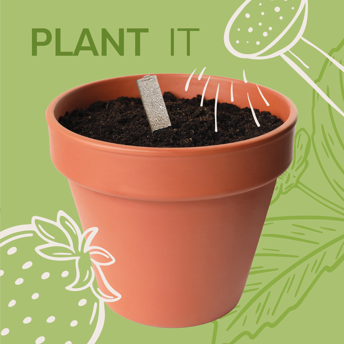 Herb Me Up Seedsticks® | Grow Your Own Herb Seed Gift Pack