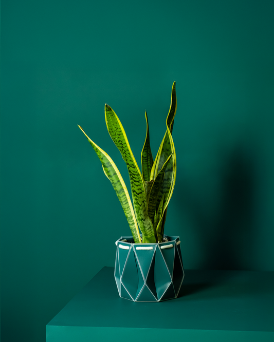 18cm Self-Watering Indoor Plant Pot in Dark Teal | Best Seller
